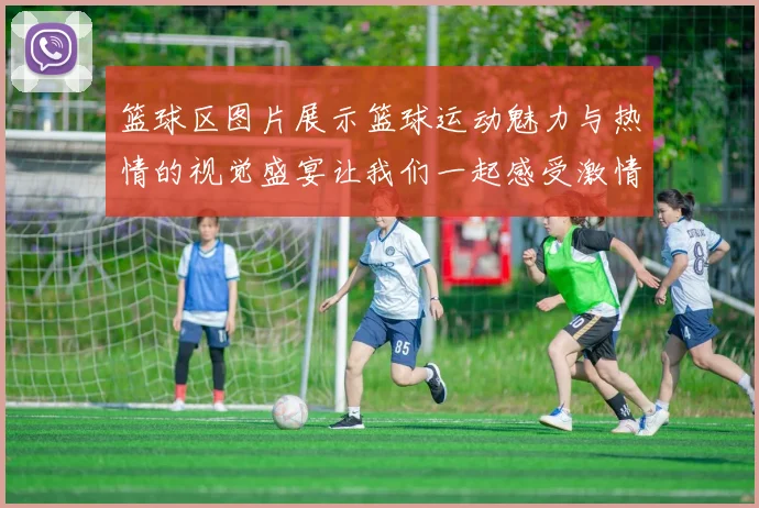 篮球区图片展示篮球运动魅力与热情的视觉盛宴让我们一起感受激情四溢的比赛瞬间