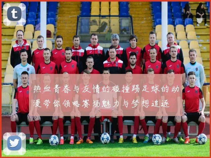热血青春与友情的碰撞踢足球的动漫带你领略赛场魅力与梦想追逐