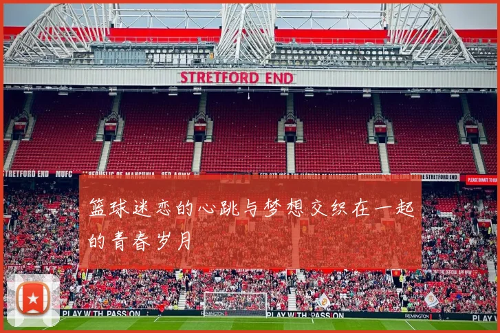 篮球迷恋的心跳与梦想交织在一起的青春岁月