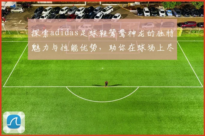 探索adidas足球鞋鸳鸯神龙的独特魅力与性能优势，助你在球场上尽显风采