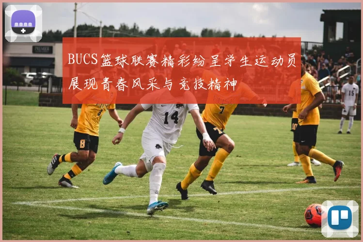 BUCS篮球联赛精彩纷呈学生运动员展现青春风采与竞技精神