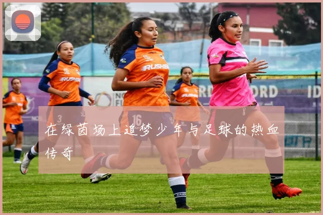 在绿茵场上追梦少年与足球的热血传奇
