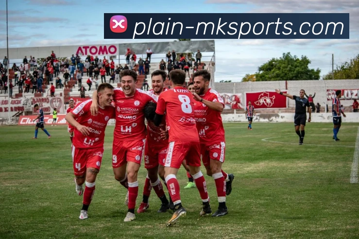 MK体育平台生态图