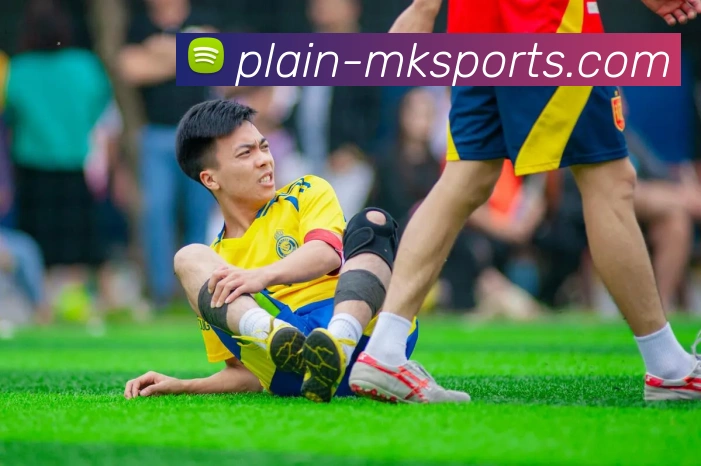 MK体育APP 封面图